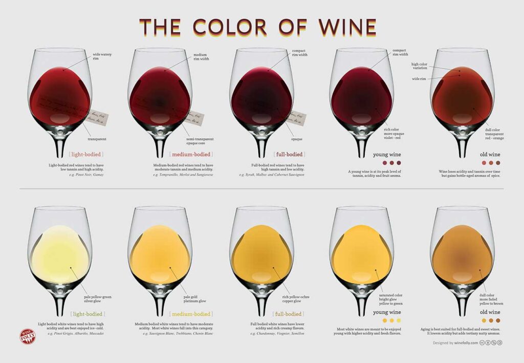 wine color chart