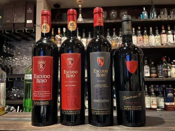 Escudo Rojo Origine Cabernet Sauvignon ml x