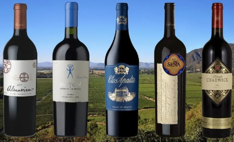 แนะนำ ไวน์ชิลี