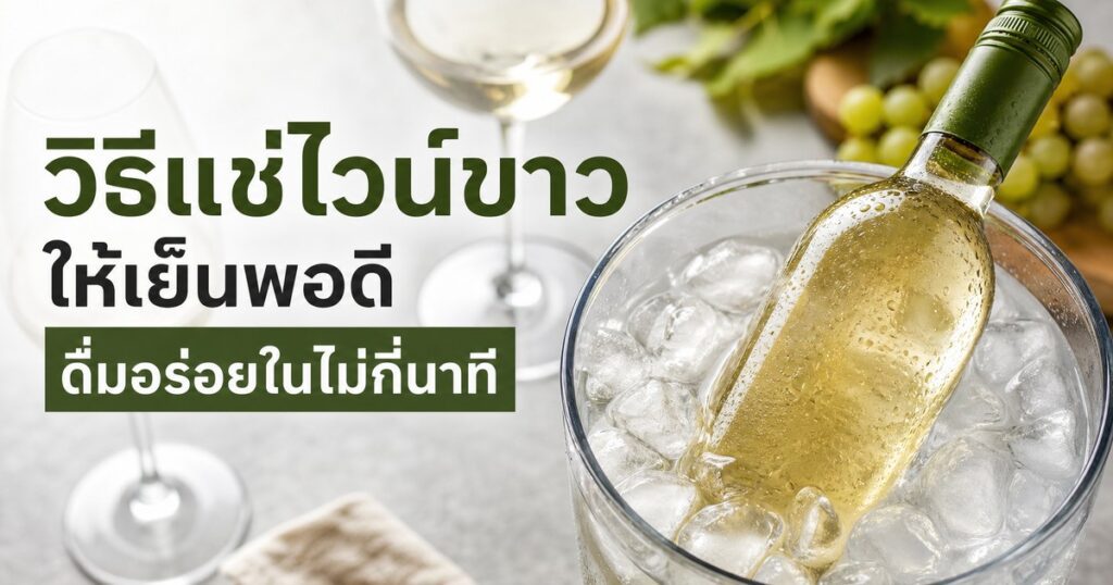 ไวน์ขาวเย็น ปก